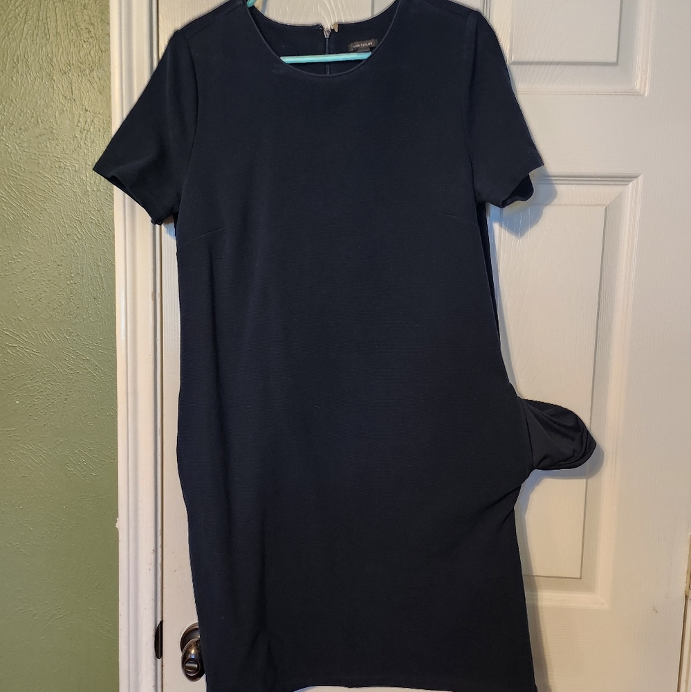 Ann Taylor Pointe Dress Pockets